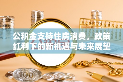 宁波公积金支持住房消费，政策红利下的新机遇与未来展望
