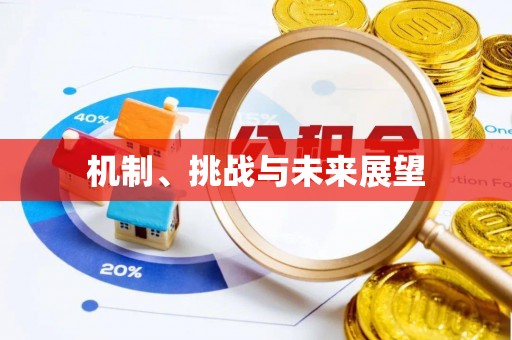 宁波机制、挑战与未来展望