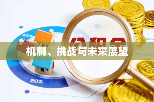 宁波机制、挑战与未来展望