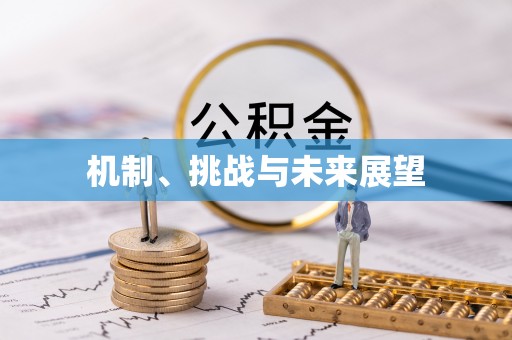 宁波机制、挑战与未来展望